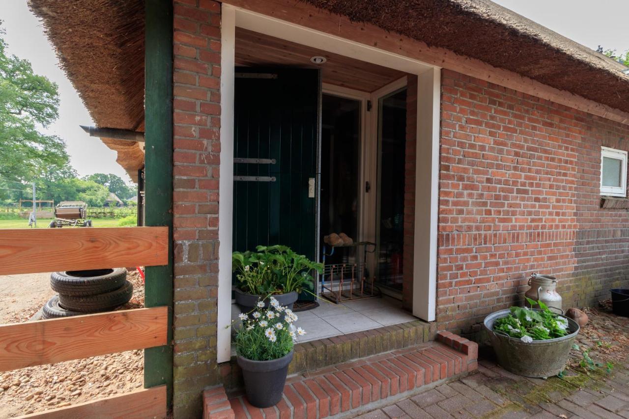 Appartamento Het Grote Paard Havelte Esterno foto