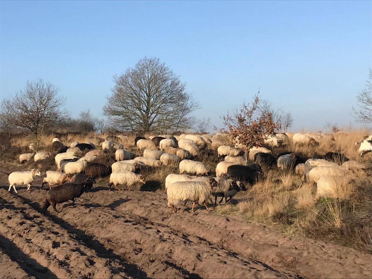 Appartamento Het Grote Paard Havelte Esterno foto