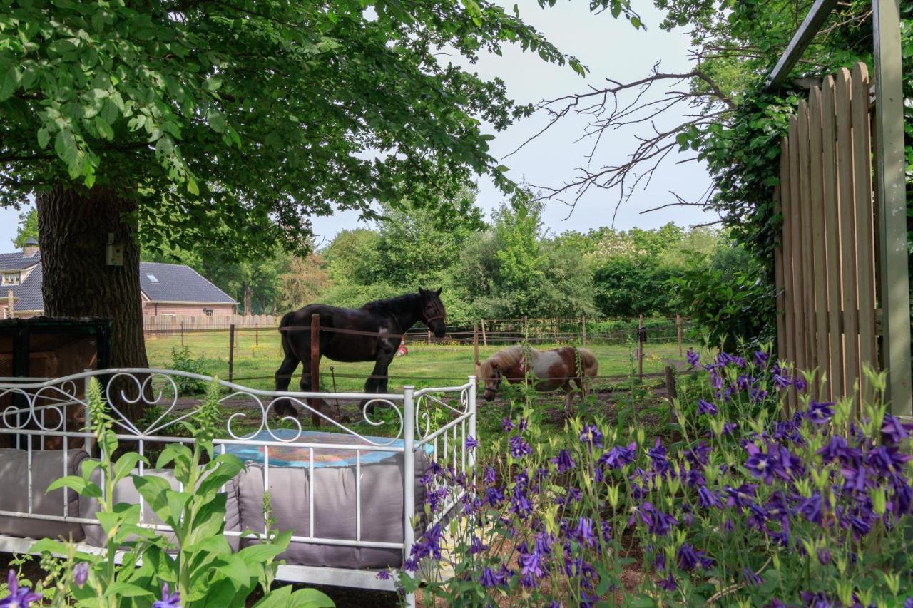Appartamento Het Grote Paard Havelte Esterno foto