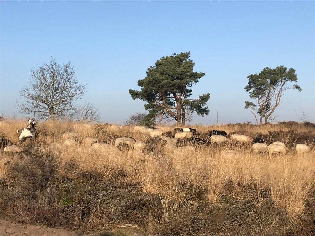 Appartamento Het Grote Paard Havelte Esterno foto