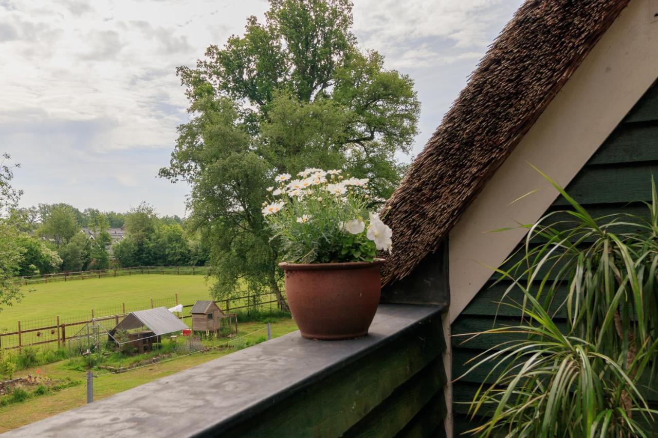 Appartamento Het Grote Paard Havelte Esterno foto