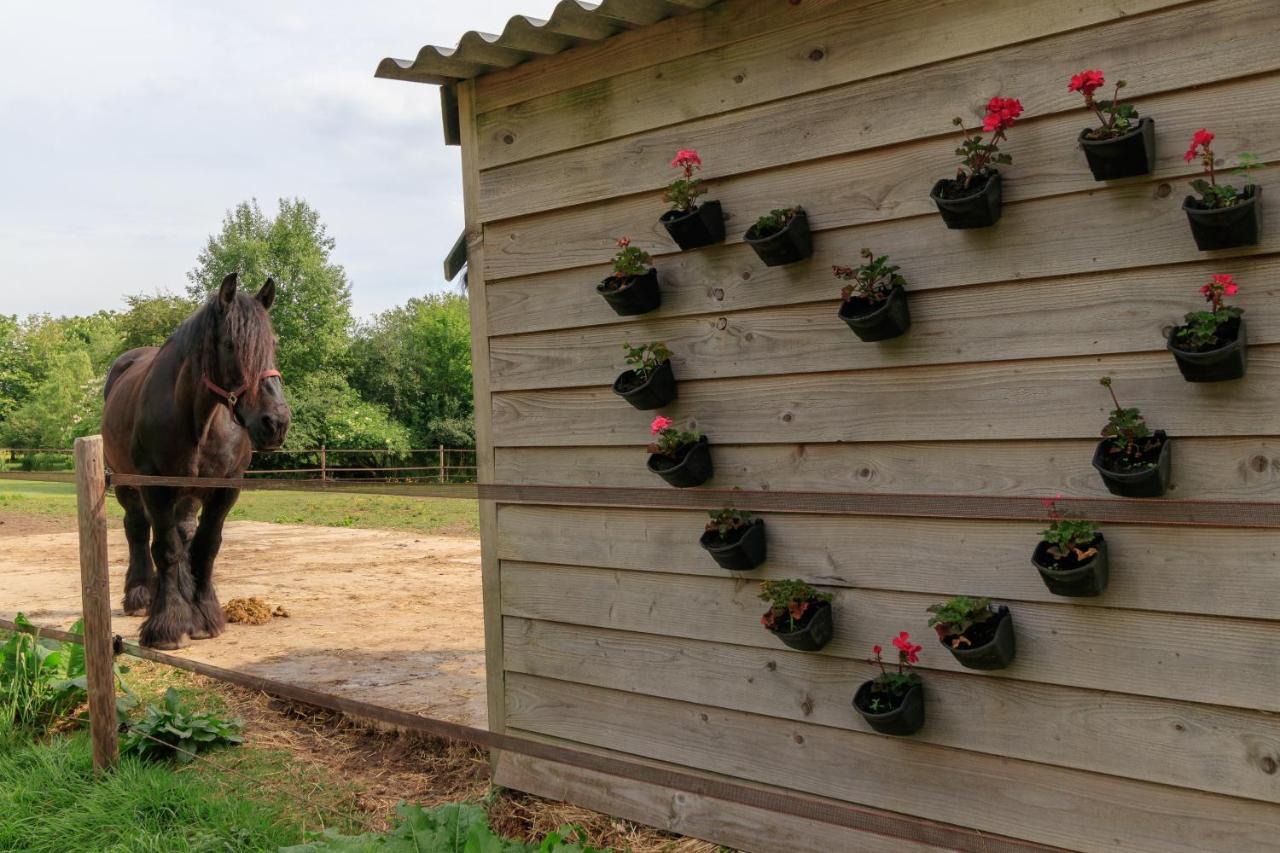 Appartamento Het Grote Paard Havelte Esterno foto