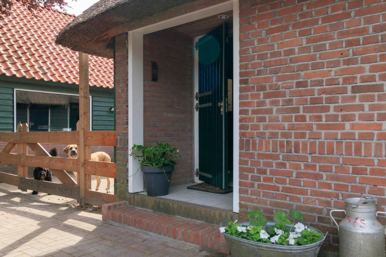 Appartamento Het Grote Paard Havelte Esterno foto
